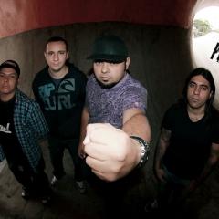 Banda Proactive
