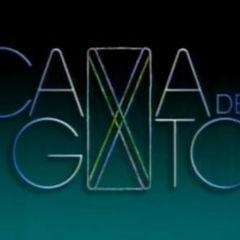 Cama de Gato (novela)