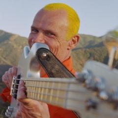 Flea