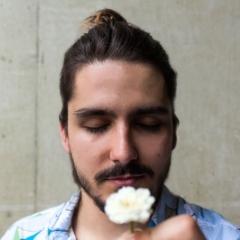 Gui Moscardini