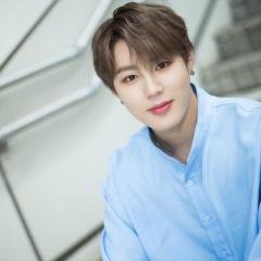 Ha Sung Woon