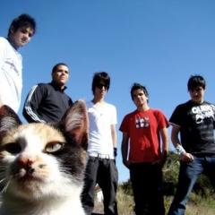 No Name