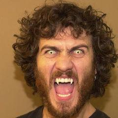 O Beijo do Vampiro (novela)