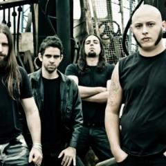 Scars From The Last Fight