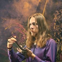 Stolen Byrds