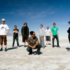 The Black Seeds