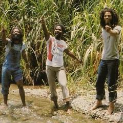 The Congos