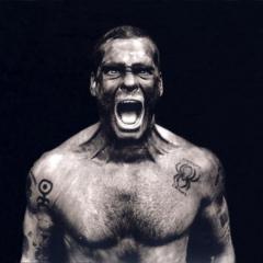 The Rollins Band
