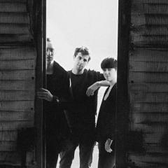 The XX