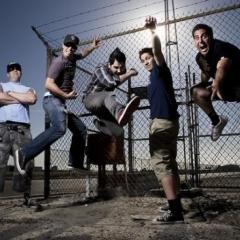 Zebrahead